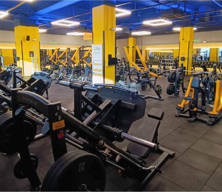 Salud & Fitness